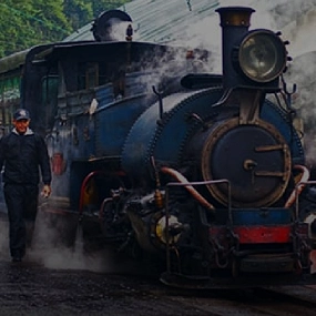 Darjeeling || Darjeeling Himalayan Railway