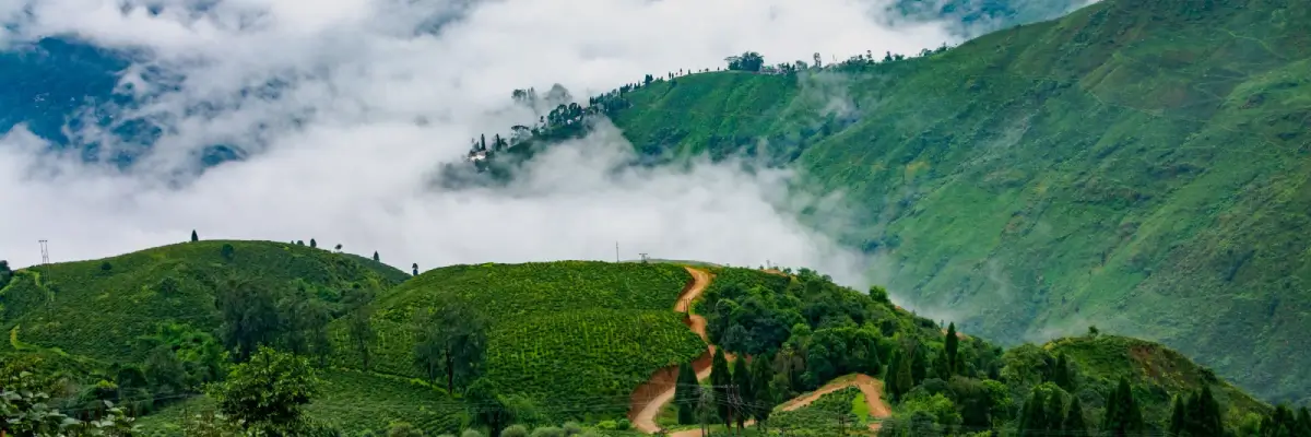 Darjeeling Kalimpong 4N 5D