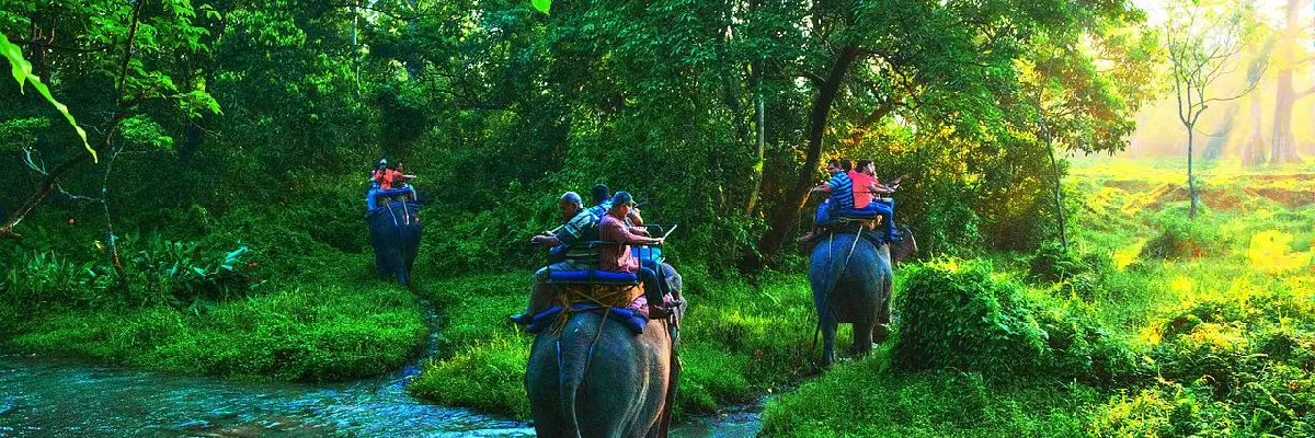 Jayanti, Jaldapara, Gorumara 5N 6D